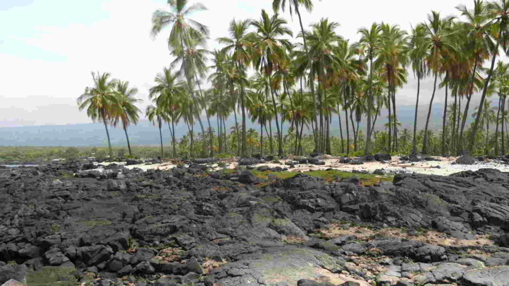 Hawaii-Strand-Lomi-Massage Kahuna-Harry-Uhane-Jim-Kumu-Stefan-Surber
